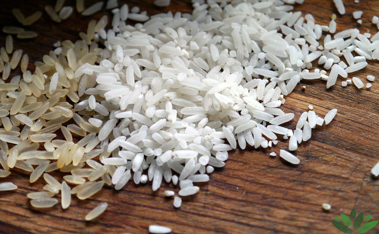 کاهش-شدید-مصرف-برنج-در-کشور