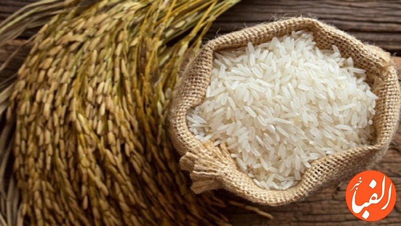 علت-گرانی-برنج-چیست