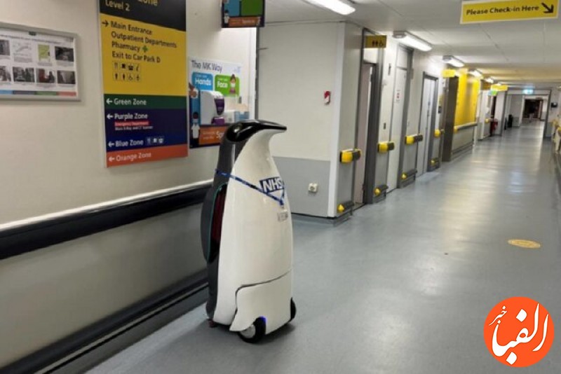 پنگوئن-رباتیکی-که-کارمند-بیمارستان-شد-عکس