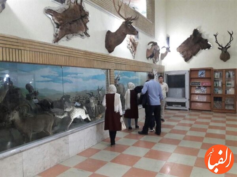 بازدید-از-موزه-تاریخ-طبیعی-زنجان-رایگان-شد