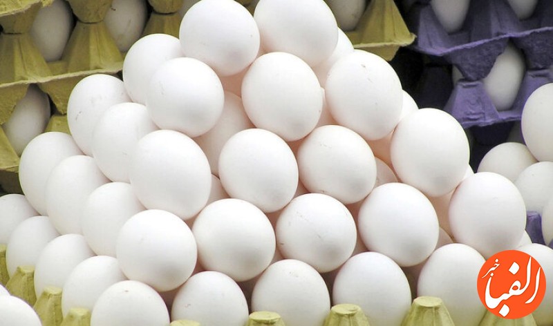 صادرات-بیش-از-۱۳۶-هزار-تن-تخم-مرغ-از-کشور