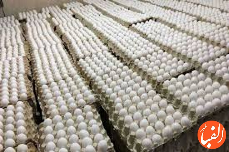 آخرین-قیمت-انواع-تخم-مرغ-بسته-بندی-در-بازار-جدول