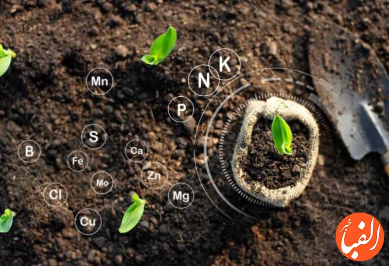بهبود-عملکرد-خاک-در-بیش-از-۲۶۶-هزار-هکتار-از-اراضی-کشاورزی