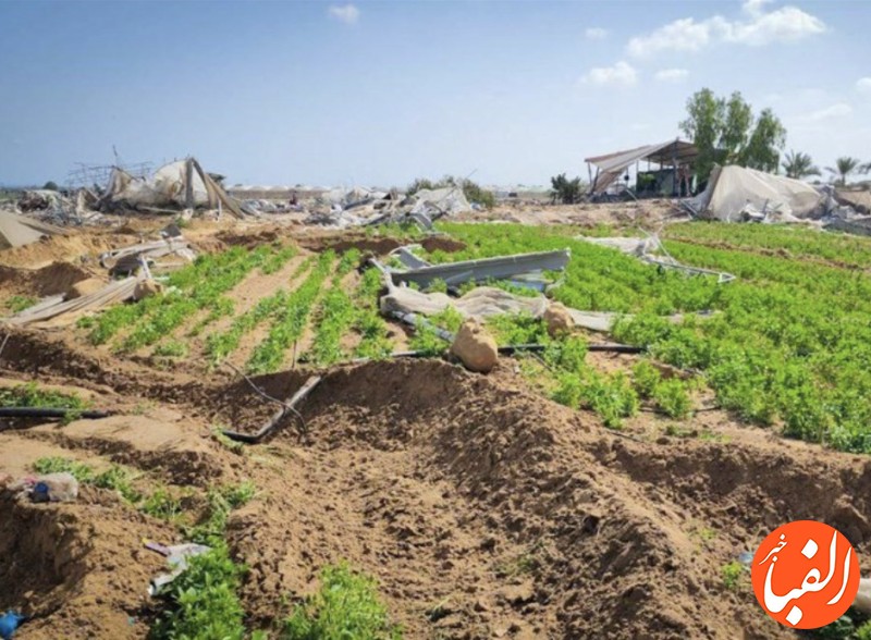 تخریب-آخرین-سبد-غذایی-خانوارهای-فلسطینی-در-جنوب-نوار-غزه